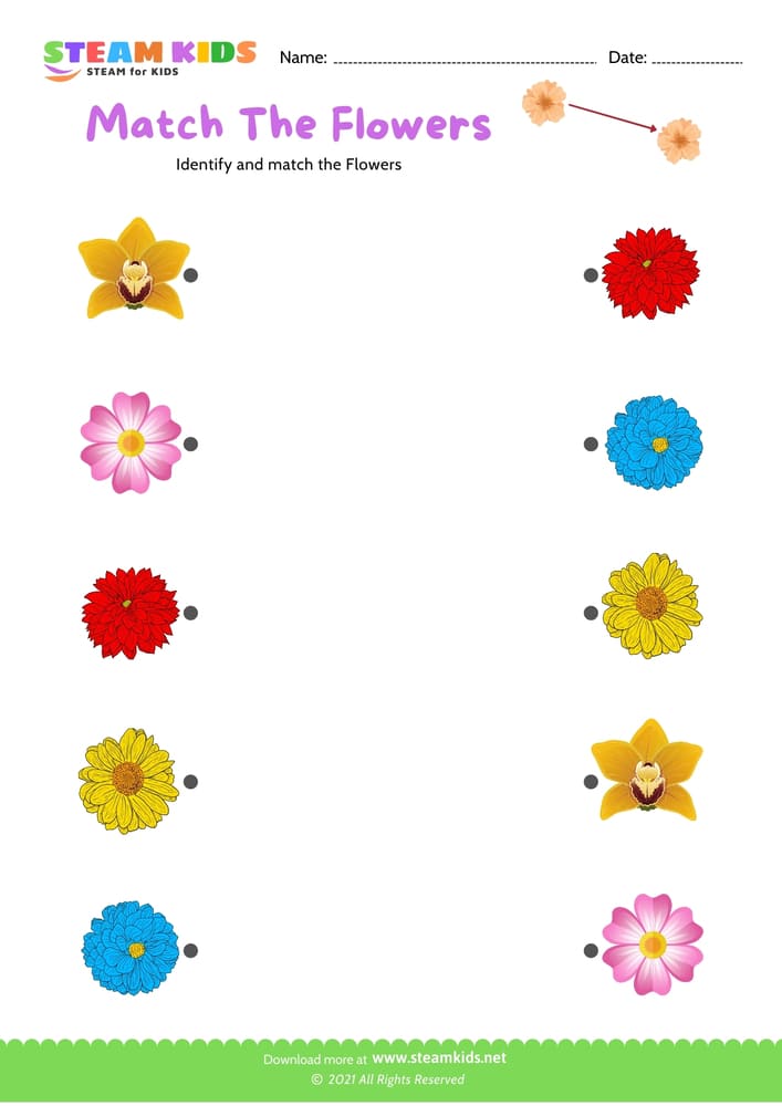 Free Science Worksheet - Match the flowers - Worksheet 3