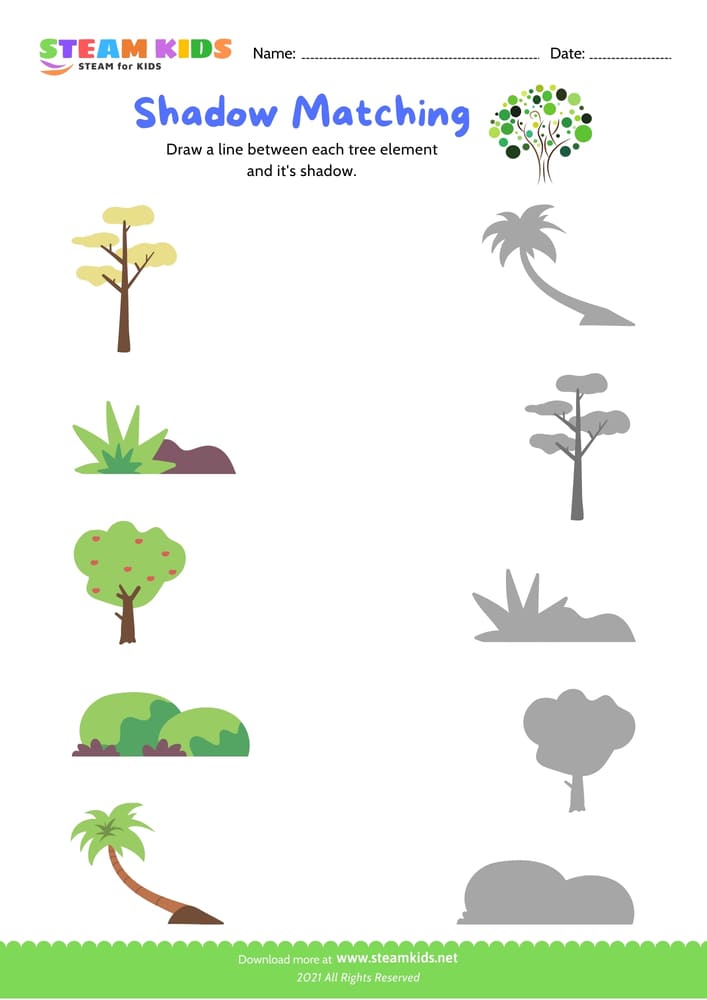 Free Science Worksheet - Matching - Worksheet 2