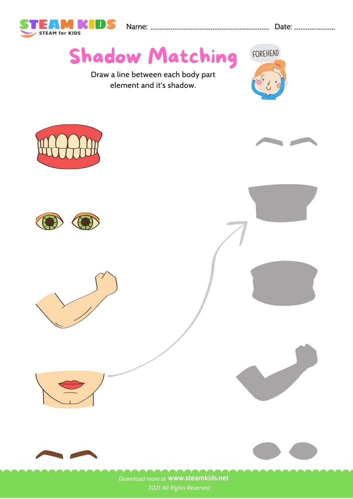 Free Science Worksheet - Matching - Worksheet 2