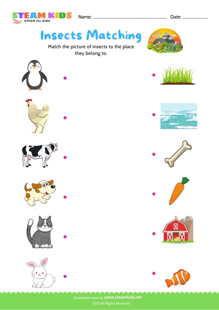 Free Science Worksheet - Matching - Worksheet 12