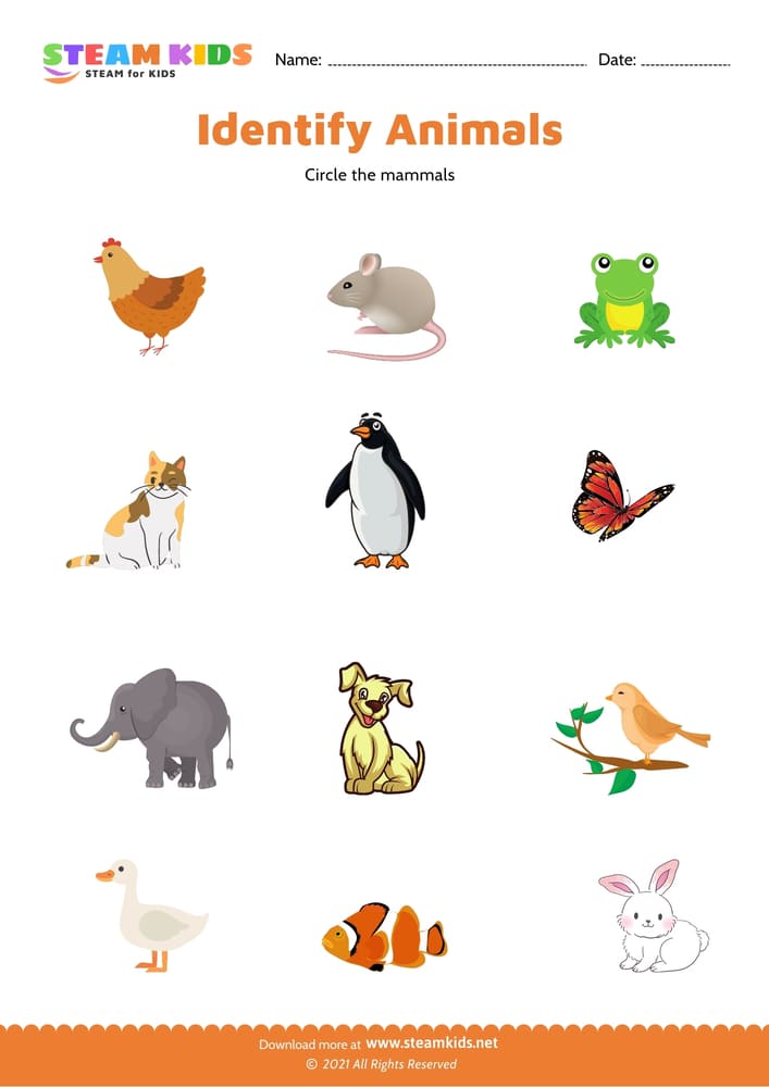 Free Science Worksheet - Identify - Worksheet 3