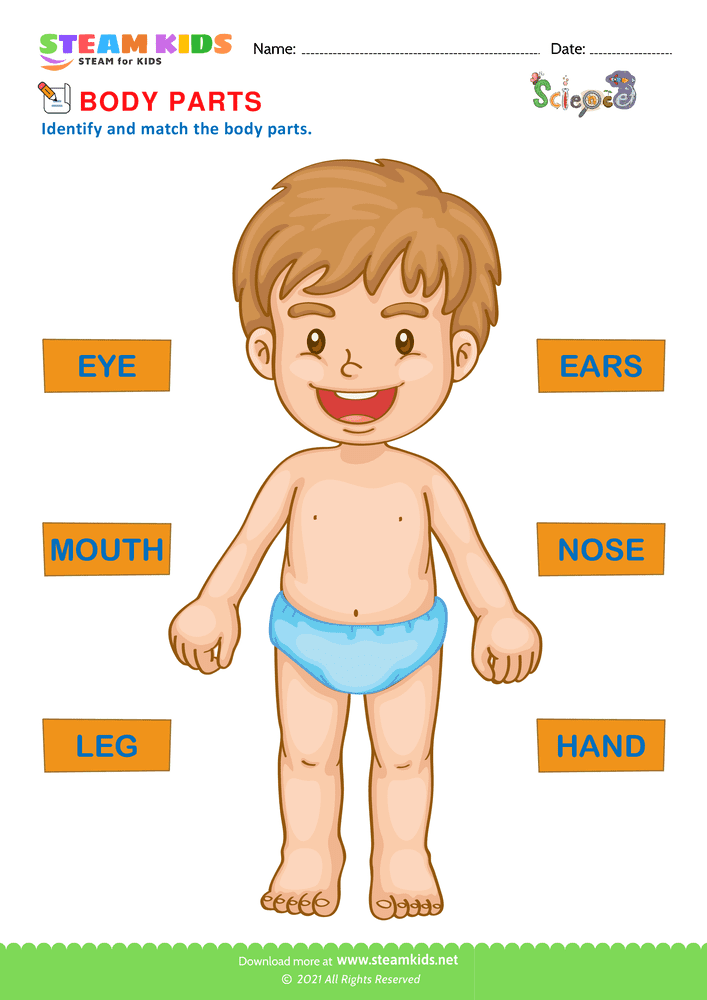 Free Science Worksheet - Body Parts - Worksheet 1