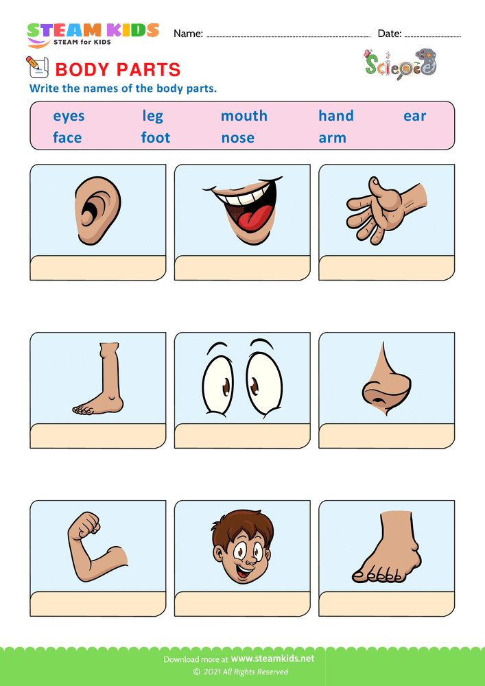 Free Science Worksheet - Body Parts - Worksheet 2