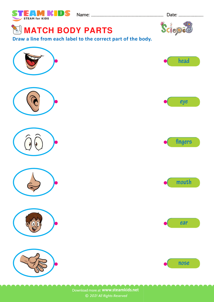 Free Science Worksheet - Body Parts - Worksheet 3