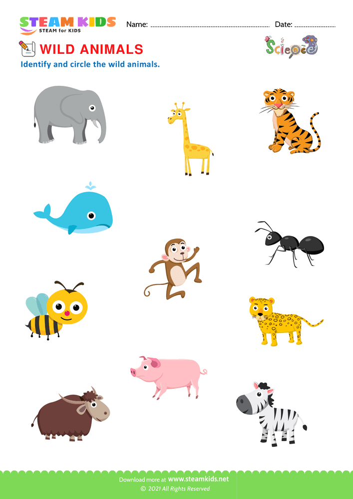 Free Science Worksheet - Wild Animals