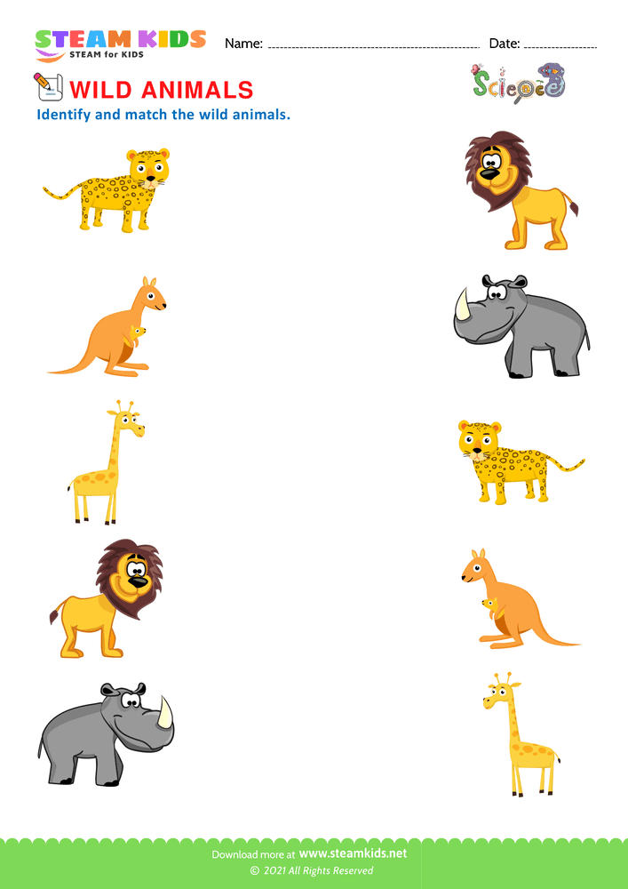 Free Science Worksheet - Wild Animals - Worksheet 3