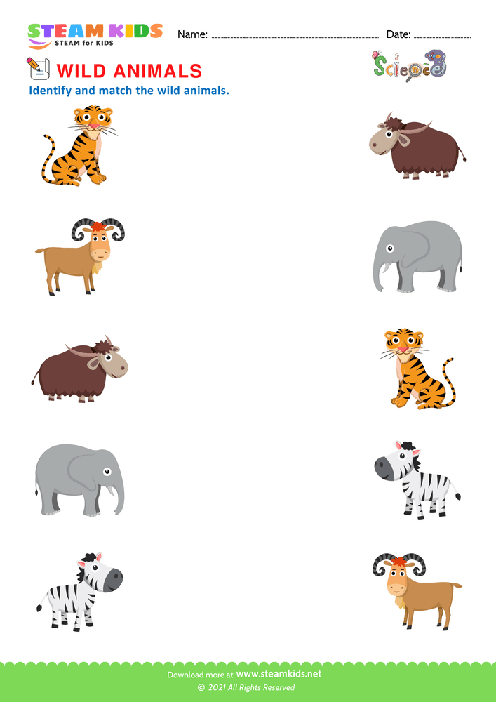 Free Science Worksheet - Identify Animals - Worksheet 1