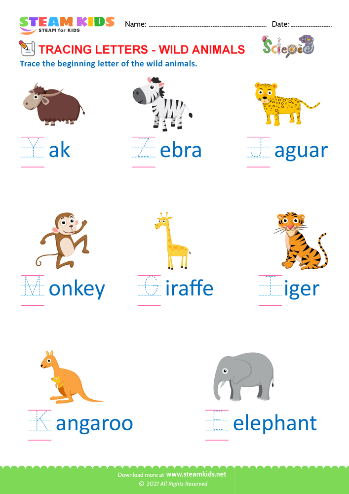 Free Science Worksheet - Identify Animals - Worksheet 2