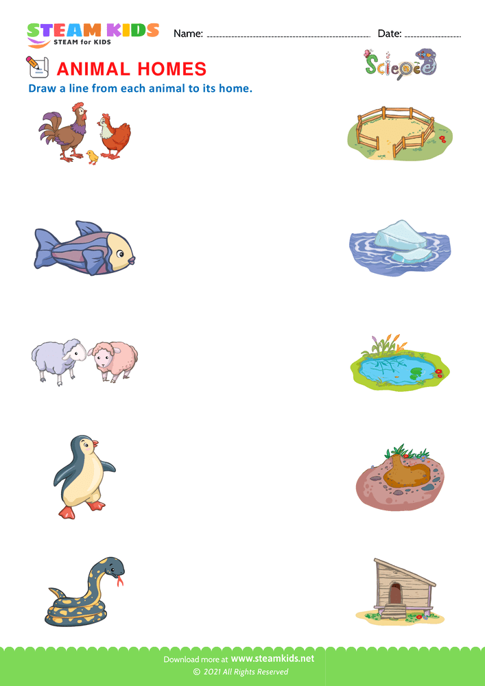 Free Science Worksheet - Animal Homes - Worksheet 1