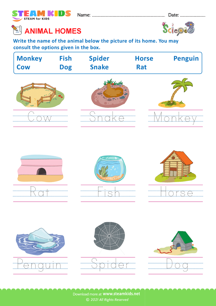 Free Science Worksheet - Animal Homes - Worksheet 4