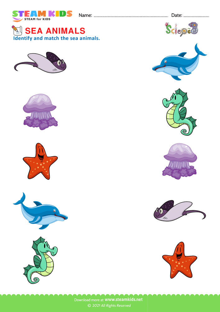 Free Science Worksheet - Sea Animals - Worksheet 2