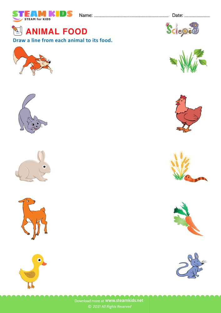 Free Science Worksheet - Animal Food - Worksheet 3