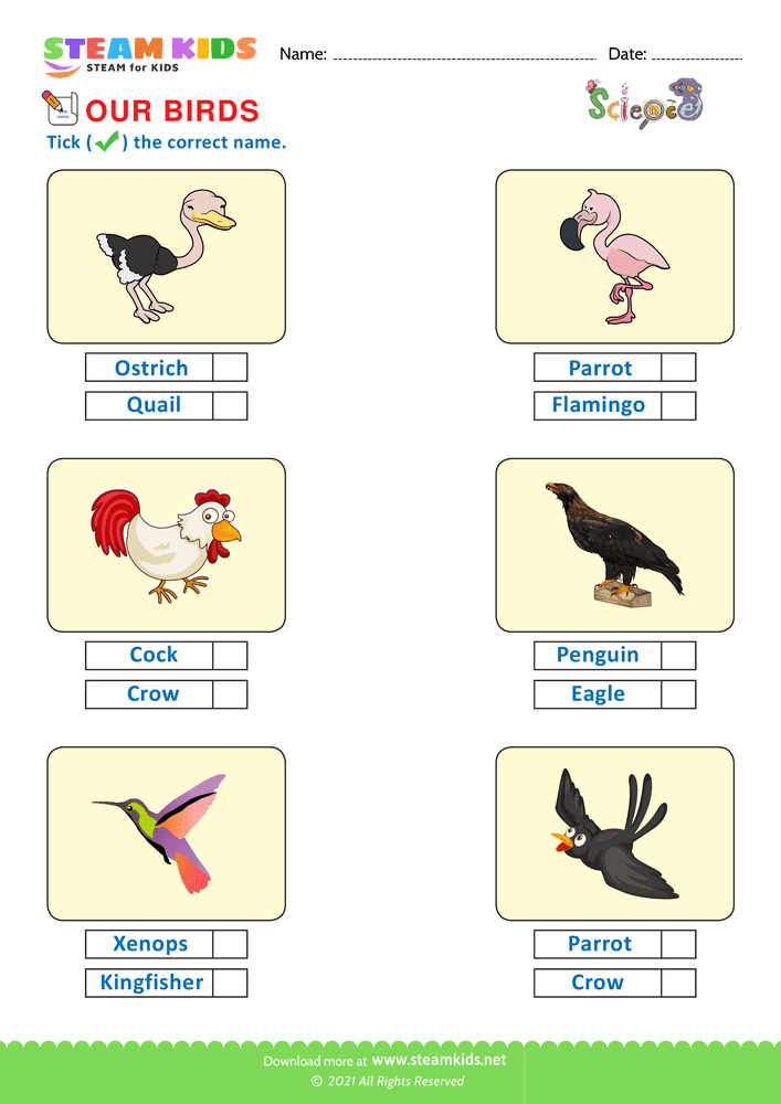 Free Science Worksheet - Identify Birds - Worksheet 2