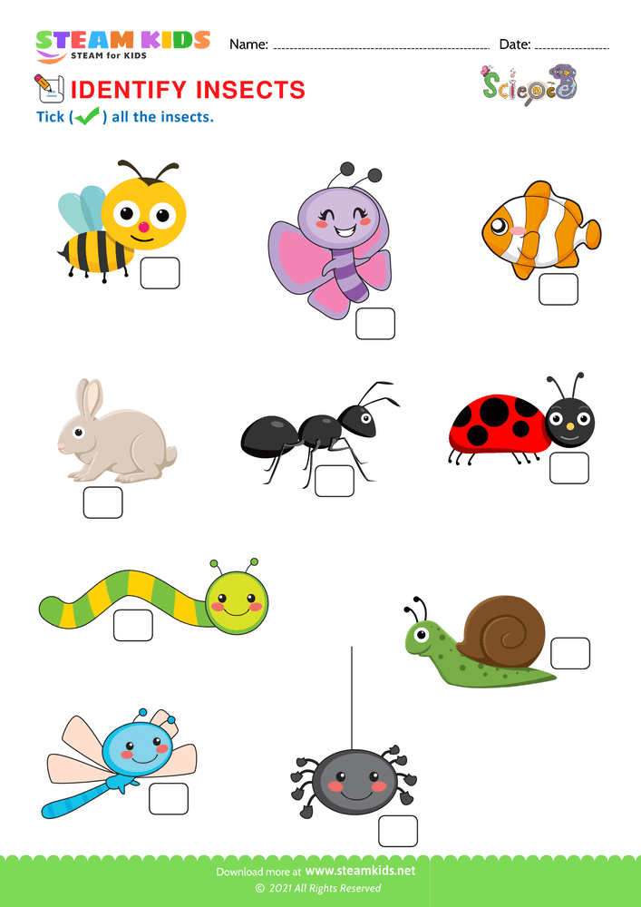 Free Science Worksheet - Iidentify Insects - Worksheet 1